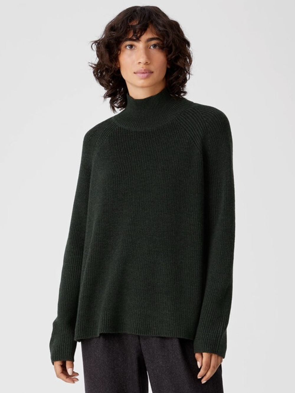 Eileen Fisher Merino Wool Turtleneck Top